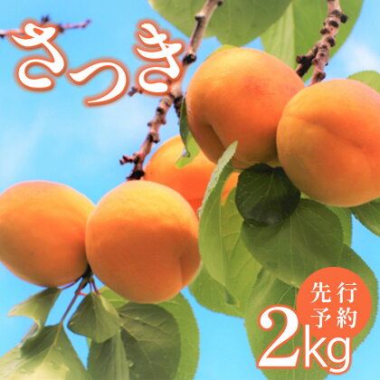 あんず（さつき）2kg｜ あんず 杏 フルーツ 特産品 千曲市 長野県 先行 予約 旬 ジャム 果実酒 手作り くだもの 数量限定 期間限定 希少 加工用