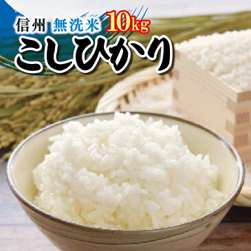 【ふるさと納税】新米 信州米 こしひかり 【 無洗米 】 10kg ( 5kg×2袋 ）長野県産 先行予約 ＜2022年10月頃新米収穫後〜順次発送＞　｜ コシヒカリ お米 無洗米 令和4年産 10kg 特産品 千曲市 長野県