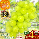 4位! 口コミ数「12件」評価「5」 ランキング 入賞 ! シャインマスカット 500g～4kg〈2024年9月中旬〜順次発送予定〉 ｜ シャインマスカット ぶどう 葡萄 種な･･･ 