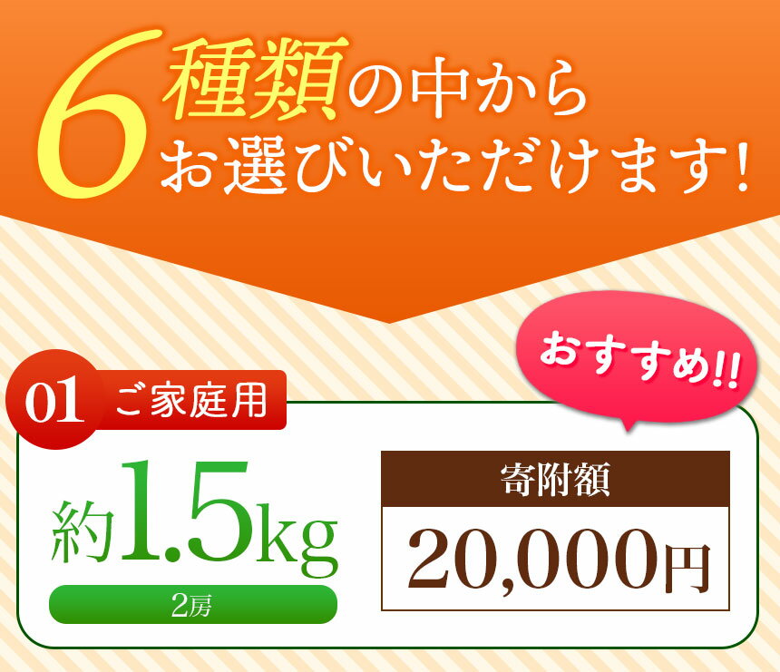 【ふるさと納税】 ランキング 入賞 ! シャインマスカット 500g～4kg〈2024年9月中旬〜順次発送予定〉 ｜ シャインマスカット ぶどう 葡萄 種なし フルーツ 特産品 千曲市 長野県 先行予約