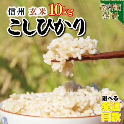 信州米 こしひかり 【 玄米 】 容量 5kg （ 5kg×1袋 ） 10kg （ 5kg×2袋 ）15kg （ 5kg×3袋 ）長野県産｜ コシヒカリ お米 玄米 10kg 特産品 千曲市 長野県 | 選べる 発送回数 げんまい 定期便 定期 便利 1等米 日本一 ごはん 米 こめ 分布会