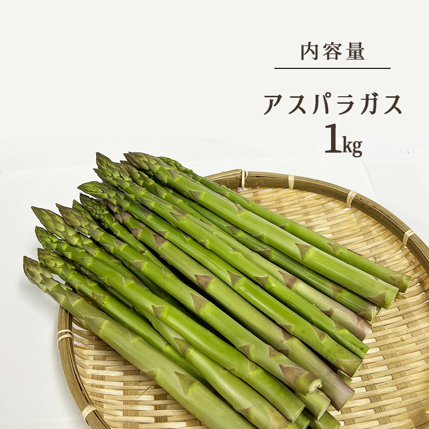 【ふるさと納税】アスパラガス 1kg 長野県産｜ 旬の野菜 長野県 千曲市