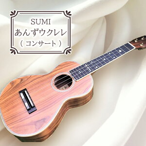 【ふるさと納税】 SUMIあんずウクレレ ( コンサート ) ｜ SUMI ウクレレ 杏材 国産木材 工芸品 千曲市 長野県