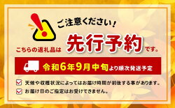 【ふるさと納税】2024年先行予約雄宝（ゆうほう）750g以上1房｜ぶどう 葡萄 フルーツ 特産品 千曲市 長野県 先行予約 画像2