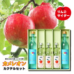 【ふるさと納税】カメレオンカクテルセット（カクテルベース用日本酒2本・地サイダー3本入り） | お酒 カクテル 日本酒 りんご あんず ソーダ 千曲市 長野県･･･ 画像1