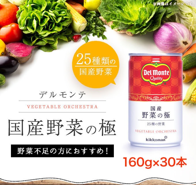 【ふるさと納税】 国産原料にこだわり デルモンテ 国産 野菜の極 160g×30本(野菜ジュース) ｜ 野菜ジュース 国産 千曲市 長野県