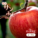 【ふるさと納税】 りんごの王様 「 サンふじ 」 約3kg 