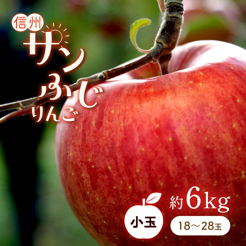 【ふるさと納税】 りんごの王様 「 サンふじ 」 小玉 約 