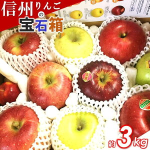 【りんご】ふるさと納税でお取り寄せ！人気の美味しいりんごを教えてください！