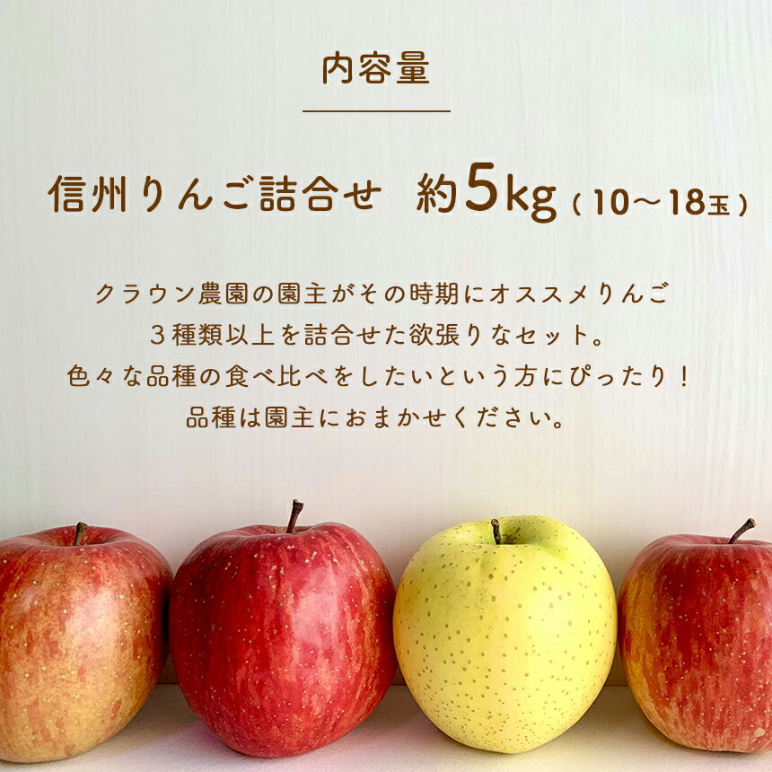 【ふるさと納税】【2024年先行予約】信州 りんご 詰合せ 約5kg りんごの宝石箱 ｜ 先行 予約 りんご 5kg 秋映 シナノ スイート シナノ ゴールド あいか の 香り 群馬名月 紅玉 王林 シナノ ホッペ フジ フルーツ 特産品 千曲市 長野県