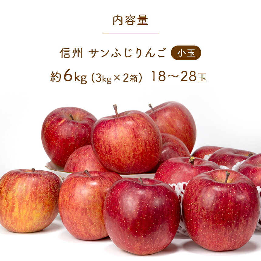 【ふるさと納税】 りんごの王様 「 サンふじ 」 小玉 約 6kg (18 〜 28玉 ) 訳あり 先行予約 〈 2024年11月中旬〜順次発送予定 〉 ｜ 林檎 りんご 小玉 6kg フルーツ 特産品 千曲市 長野県 蜜 人気林檎 12月発送 先行予約 フードロス 支援 産地直送