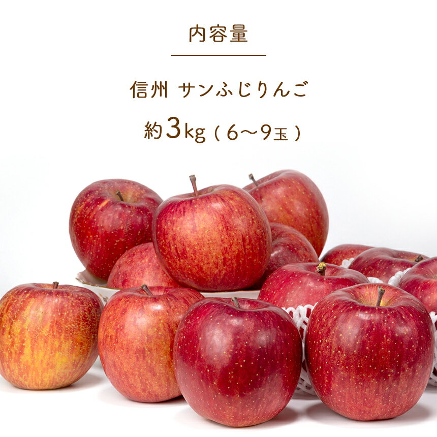 【ふるさと納税】 りんごの王様 「 サンふじ 」 約3kg (6〜9玉) 先行予約 〈2024年11月中旬〜順次発送予定〉 ｜ 林檎 りんご 3kg フルーツ 特産品 千曲市 長野県