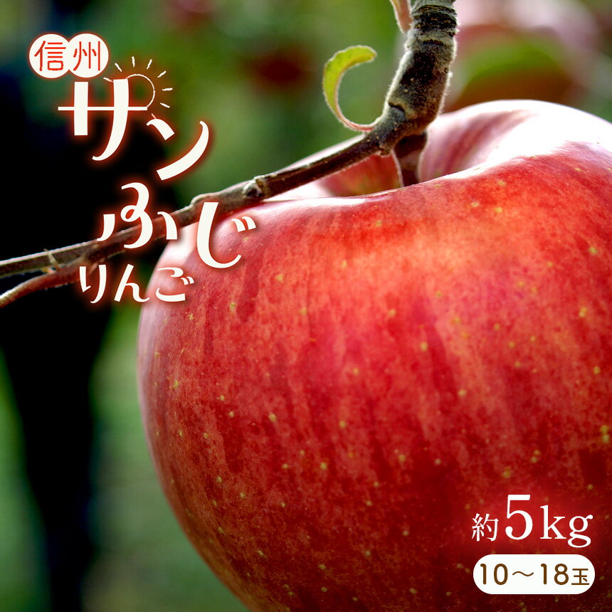 りんご サン ふじ 5kg ( 10 〜18 玉 ) |先行 予約 林檎 りんご 5kg フルーツ 特産品 千曲市 長野県 アップル 人気 直送 リンゴ 信州