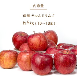 【ふるさと納税】 りんごの王様「サンふじ」 約 5kg (10 〜 18玉 ) 先行予約 〈 2022年11月中旬 ～ 順次発送予定〉 ｜ 林檎 りんご 5kg フルーツ 特産品 千曲市 長野県 アップル 人気 直送 リンゴ･･･ 画像1