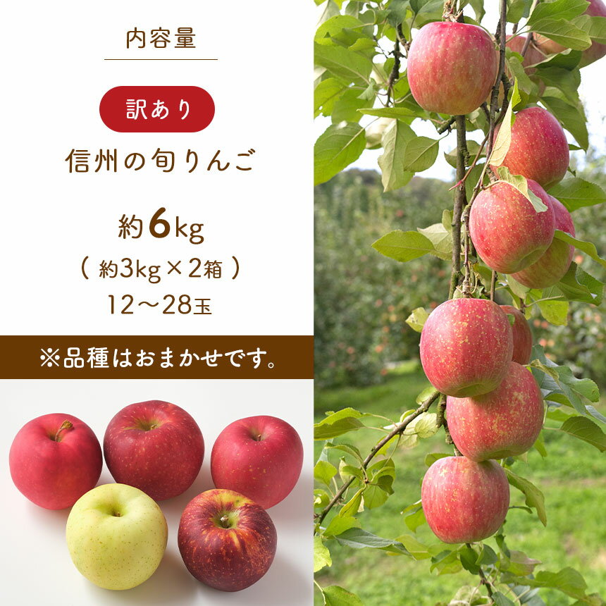 【ふるさと納税】 訳あり 信州の旬 りんご 約6kg (3kg×2) 12〜28玉 先行予約 〈2022年10月上旬〜順次発送予定〉 ｜ 訳アリ 6kg フルーツ 特産品 千曲市 長野県