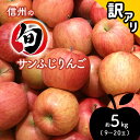 【ふるさと納税】 サンふじ りんご 訳あり 約5kg 9〜20玉 ｜ 先行予約 サンフジ リンゴ 林檎 訳アリ 5kg フルーツ 特産品 千曲市 長野県