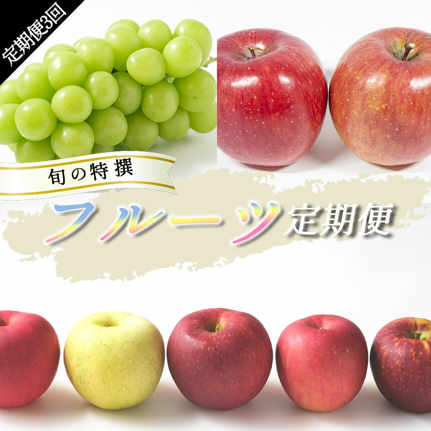 【ふるさと納税】 【定期便3回】 信州 旬の特選 フルーツ定期便 ＜2023年9月下旬〜順次発送予定＞ ｜ 定期便 信州 りんご サンふじ シャインマスカット フルーツ りんご詰合せ 特産品 千曲市 長野県･･･