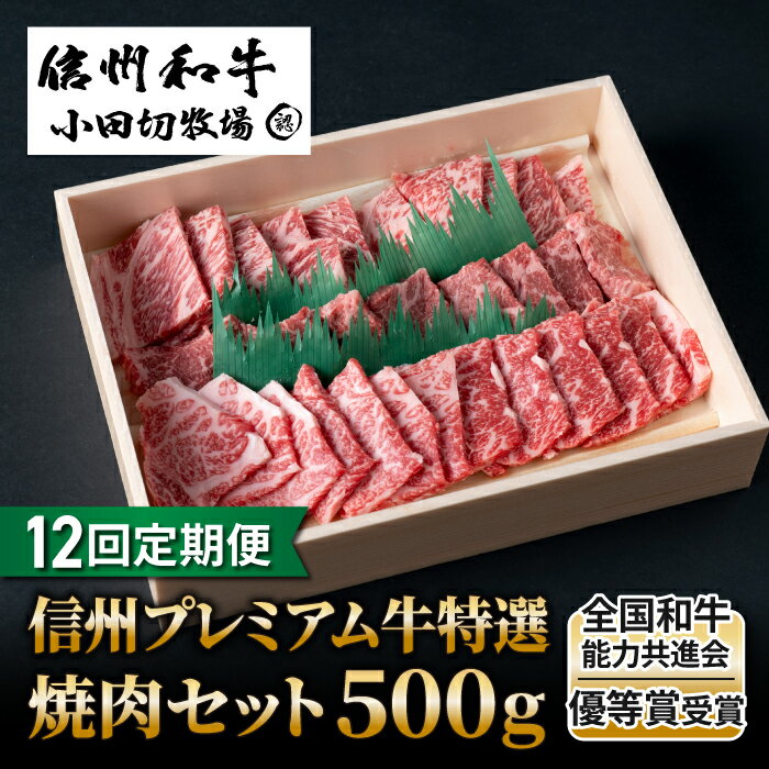 【12回定期便】小田切牧場信州プレミアム牛特選　焼肉セット500g