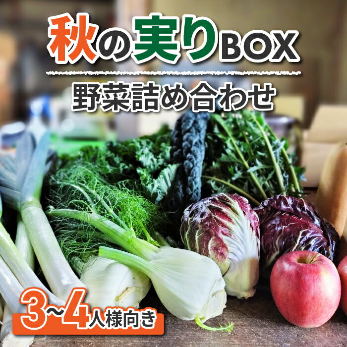 【ふるさと納税】sugaya farm 秋の実りBOX（3〜4人様向け）長野県 東御市 秋野菜 スガヤファーム 西洋野菜 詰め合わせ 野菜セット 新鮮