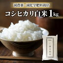 6位! 口コミ数「0件」評価「0」【太陽と大地】八重原産特別栽培米（減農薬・減化学肥料栽培）コシヒカリ白米1kg