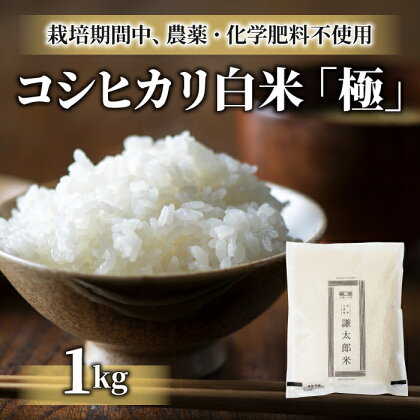 【太陽と大地】八重原産コシヒカリ白米「極」（栽培期間中農薬化学肥料不使用）1kg 長野県 東御市 太陽と大地 コシヒカリ 減農薬 減化学肥料 白米 精米 八重原米 農薬不使用 化学肥料不使用