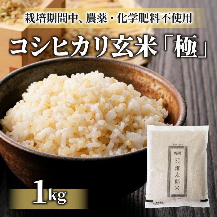 [太陽と大地]八重原産コシヒカリ玄米「極」(栽培期間中農薬化学肥料不使用)1kg
