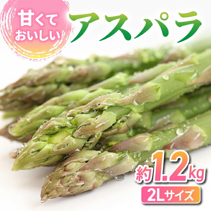 東御市産 アスパラガス 約1.2kg アスパラ 2Lサイズ グリーンアスパラ 野菜 やさい 新鮮 美味しい おかず・お惣菜に ギフト 自宅用 家庭用 国産 長野県東御市 ※2024年4月下旬〜6月下旬頃に順次発送予定