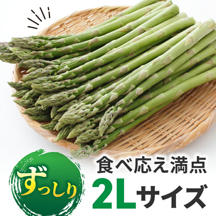 【ふるさと納税】東御市産 アスパラガス 約1.2kg アスパラ 2Lサイズ グリーンアスパラ 野菜 やさい 新鮮 美味しい おかず・お惣菜に ギフト 自宅用 家庭用 国産 長野県東御市 ※2024年4月下旬～6月下旬頃に順次発送予定