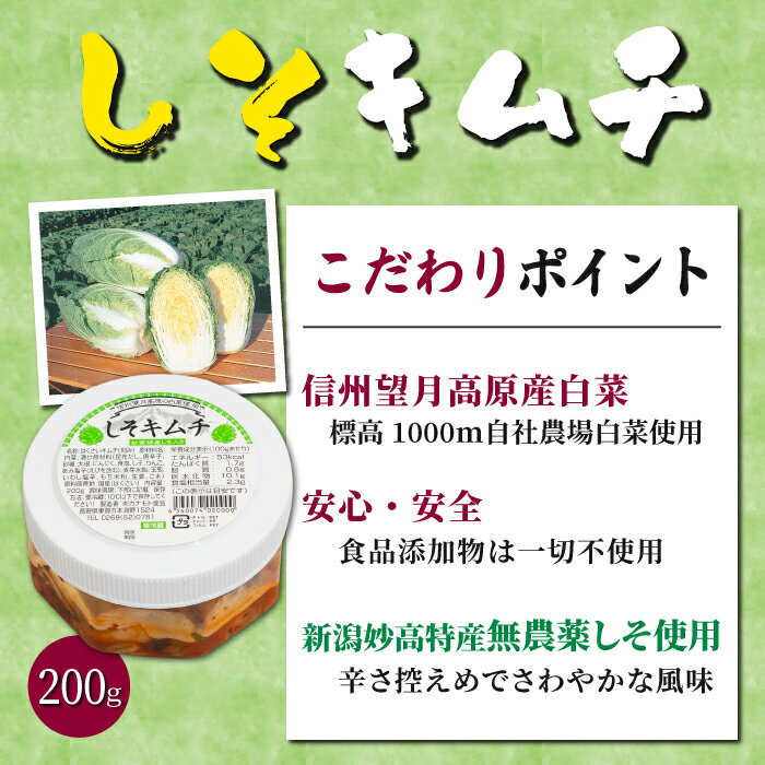 【ふるさと納税】信州望月高原しそキムチ、辛キムチ、こだわりキムチ3種セット | 国産キムチ 白菜 発酵食品 漬物