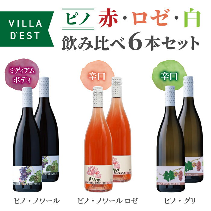 【ふるさと納税】ヴィラデストワイナリー　ピノ・ノワール（赤・ロゼ・白）飲み比べ6本セット