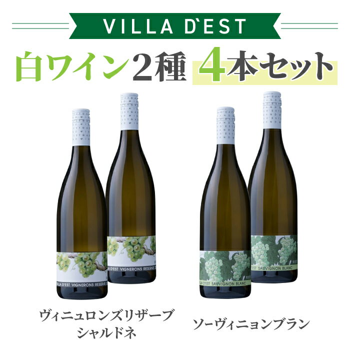 【ふるさと納税】【限定】ヴィラデストワイナリー 白ワイン2種