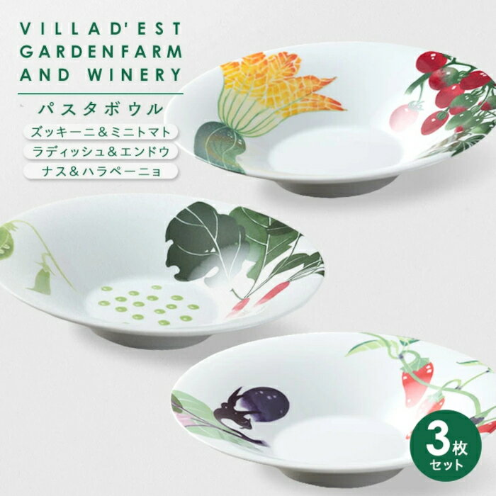 【ふるさと納税】【ヴィラデストワイナリー】ベジタブルシリーズ食器　パスタボウル3枚（ズッキーニ＆ミニトマトとラディッシュ＆エンドウとナス＆ハラペーニョ）セット