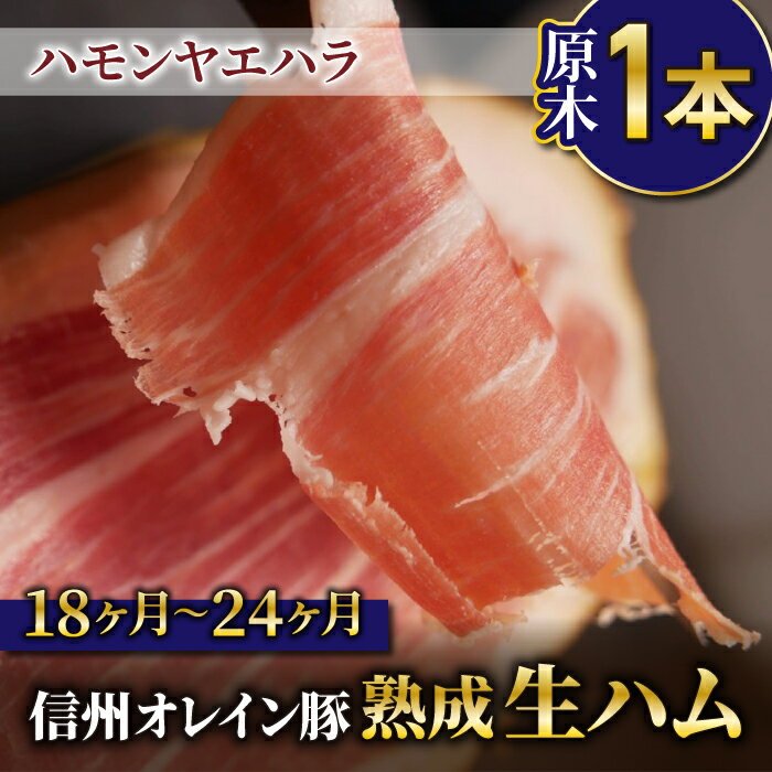 ڤդ뤵Ǽǡۡڿ쥤ڡϥึ1 1824(Jamon 8 ehara / ϥ䥨ϥ)Ĺԡѥ֥ 