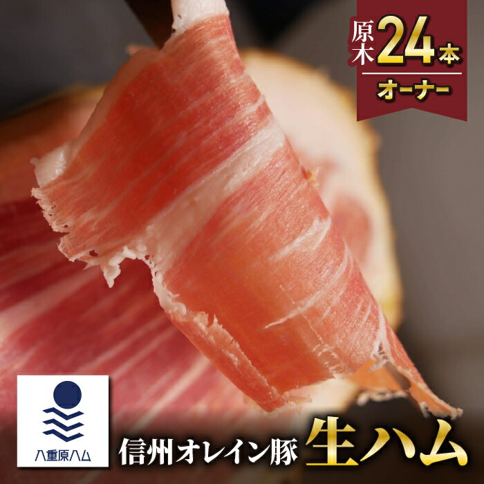 ڤդ뤵Ǽǡۡڿ쥤ڡϥึ24ܥʡ1824(Jamon 8 ehara / ϥ䥨ϥ)Ĺԡѥ֥ 