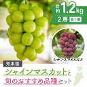 商品画像1