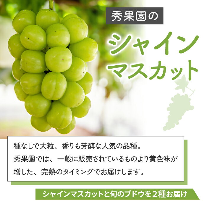 【ふるさと納税】先行予約2024年発送【秀果園】シャインマスカットと旬のおすすめ2種　計3種セット（約2kg）※秋お届け