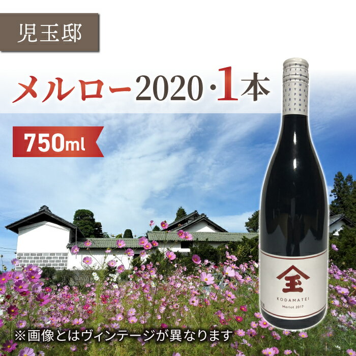 [ゼロ磁場の児玉邸]メルロー2020年(赤ワイン)1本|千曲川ワインバレー 東御ワイン