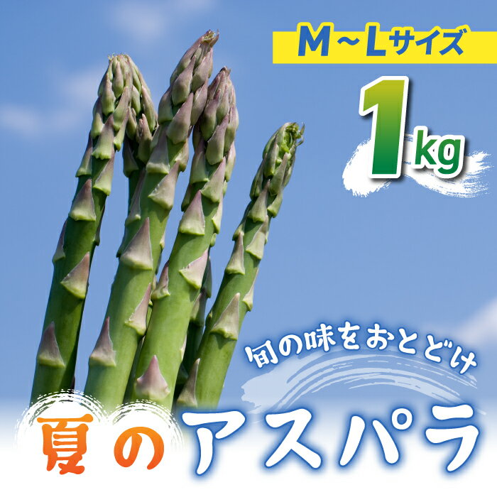 【ふるさと納税】【のららぼ農園】農家直送！新鮮！夏獲れ細（M〜L）アスパラ1kg（およそ35〜50本）