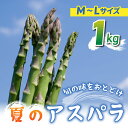 【ふるさと納税】先行予約2025年発送【のららぼ農園】農家直送!新鮮!夏獲れ細(M~L)アスパラ1kg(およそ35~50本)※2025年7月上旬~9月上旬発送予定