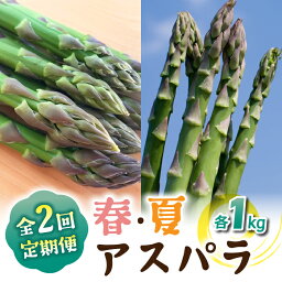 【ふるさと納税】【2回定期便】農家直送！新鮮！春獲れ・夏獲れ　太アスパラ各1kg（合計2kg）