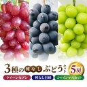 【ふるさと納税】【あおさく農園】3種の種なしぶどうセット(クイーンセブン・巨峰・シャインマスカット)合計5房セット ※2025年9月中旬以降発送予定|農薬削減