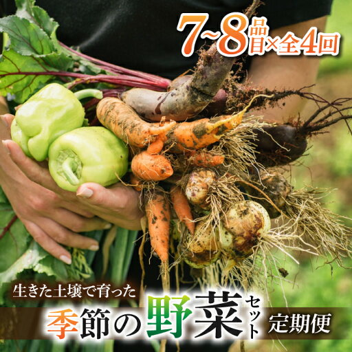 【ふるさと納税】先行予約【里山JAPAN】【4回定期便】生きた土壌で育った『季節の野菜セット』|2025年7月以降発送予定 【ふるさと納税】先行予約【里山JAPAN】【4回定期便】生きた土壌で育った『季節の野菜セット』|2025年7月以降発送予定