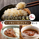 【ふるさと納税】【里山JAPAN】長野県産!生きた土壌で育った『御牧原米こしひかり 玄米5kg』と小田切牧場ビーフカレー、ビーフシチューセット|2025年10月上旬以降に発送予定