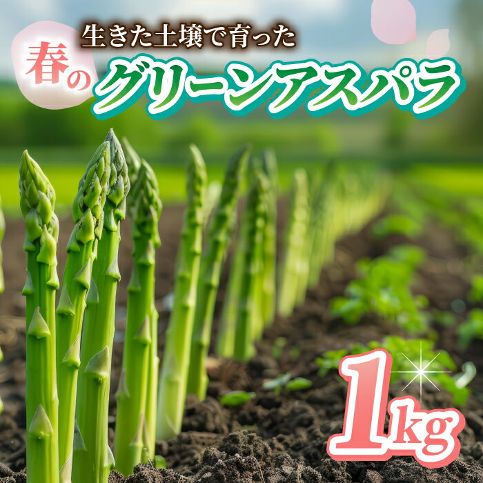 【ふるさと納税】先行受付【里山JAPAN】甘くて柔らか 生きた土壌で育った『春のグリーンアスパラ』1kg|長野県 ※2026年春発送