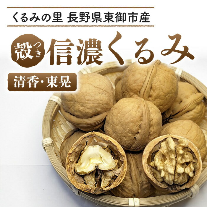 【ふるさと納税】2025年産 長野県東御市産 殻付き信濃くるみ (品種 清香 、東晃 )