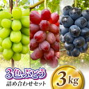 【ふるさと納税】【おぎはら園】農家直送!贈答用3色ぶどうの詰め合わせセット 3kg(6~8房)|シャインマスカット、種なし巨峰、ナガノパープル 、クイーンニーナ、クイーンルージュ®など ※2025年9月中旬~10月上旬順次発送