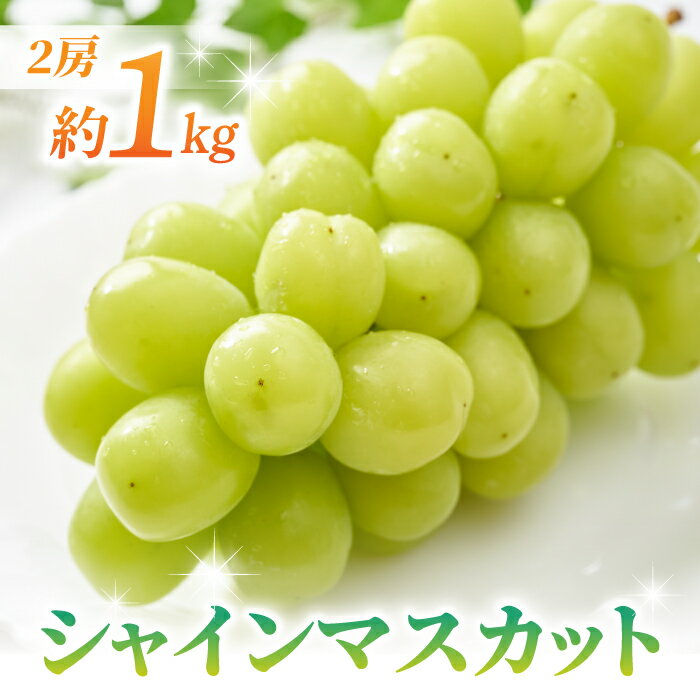 [先行受付2026年発送][さとのみ果樹園]シャインマスカット2房(1kg以上) ※2026年9月中旬〜10月下旬順次発送