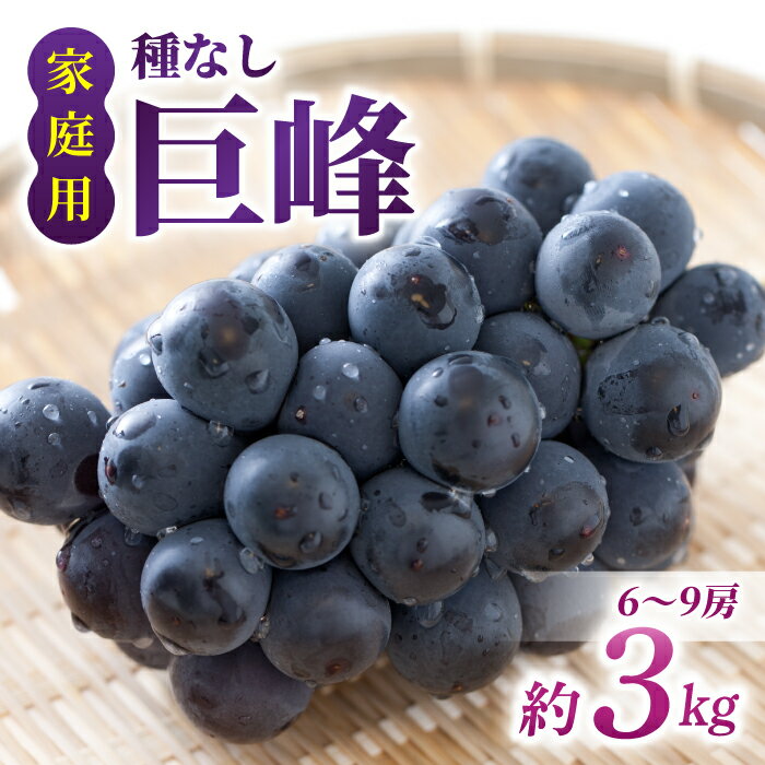 [先行受付2026年発送][さとのみ果樹園]家庭用種なし巨峰 約3kg(6〜9房)※2026年9月上旬以降順次発送