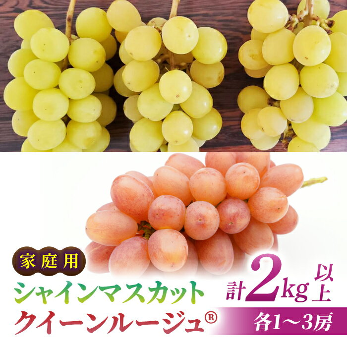 [先行受付2026年発送]家庭用シャインマスカット&クイーンルージュ(R) 合計2kg以上(各1〜3房)|さとのみ果樹園 ※2026年9月中旬以降順次発送