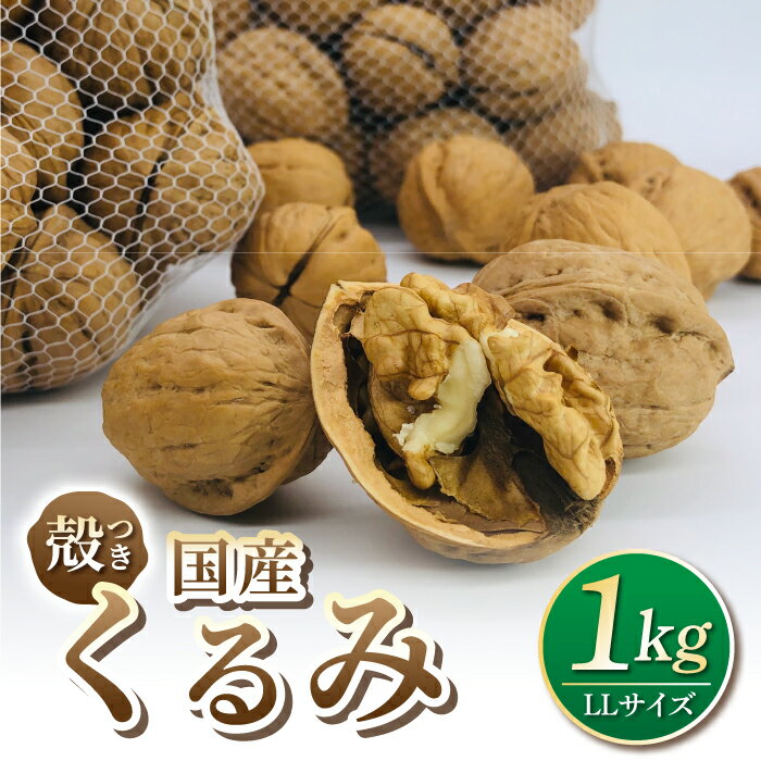 [アルファーム]令和7年産信濃くるみ 殻付きタイプ(LLサイズ)※2025年11月下旬以降発送